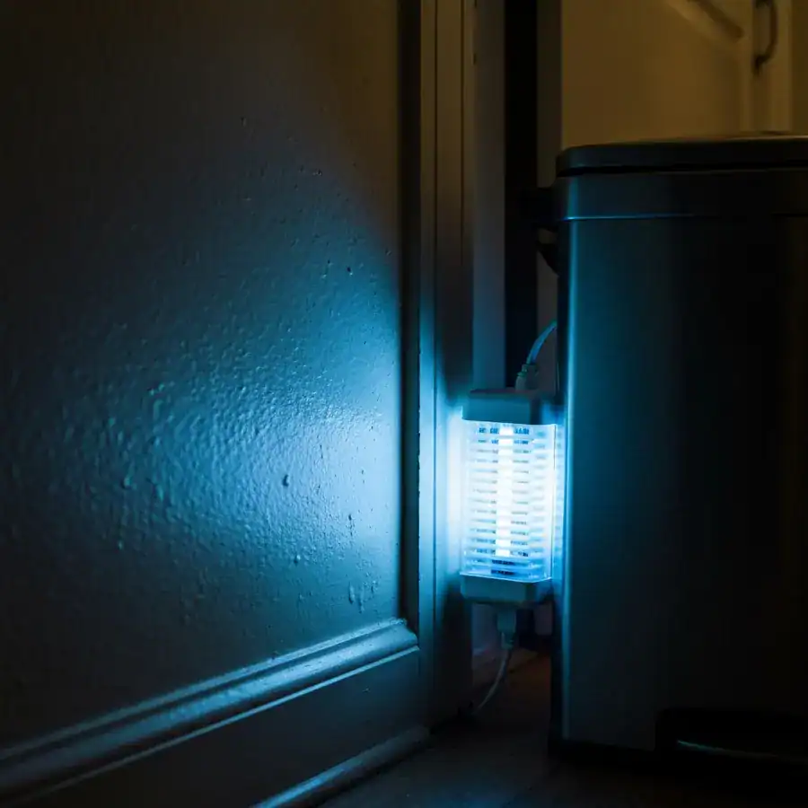 UV fly trap glowing blue next to a shadowed trash can in a dim residential hallway.