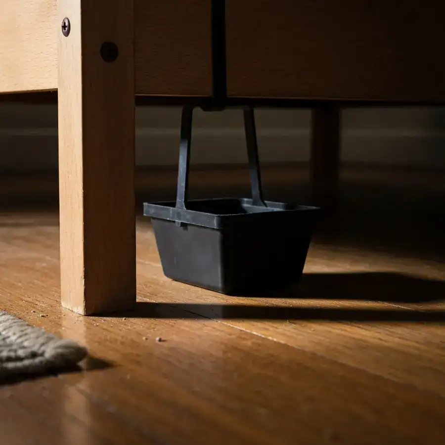 Black plastic interceptor trap installed under a wooden bed leg on a dusty hardwood floor for pest monitoring.