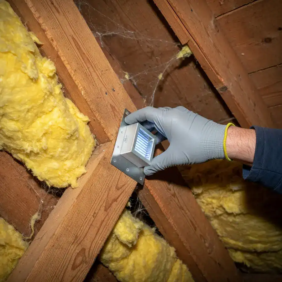 Gloved hand installing a UV light trap on a wooden joist in a dusty, dimly lit attic crawlspace.