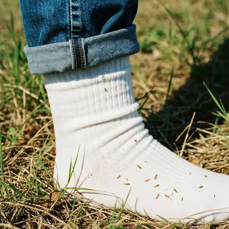 White socks tucked over denim jeans while standing in tall weeds and grass to prevent chigger bites.