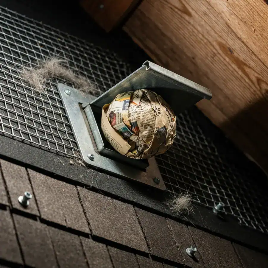Close-up of a crumpled newspaper wadded into a one-way raccoon door mounted on a weathered wooden roof soffit.