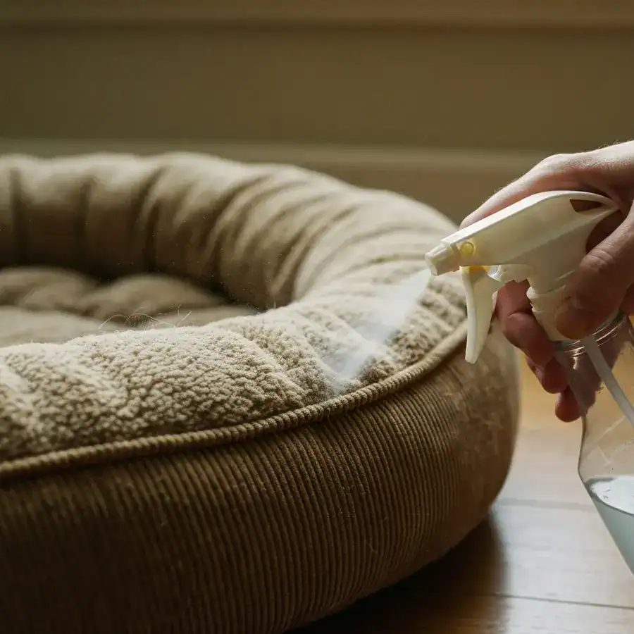Close-up of a spray bottle nozzle aimed at the fabric of a plush pet bed in a dimly lit room.