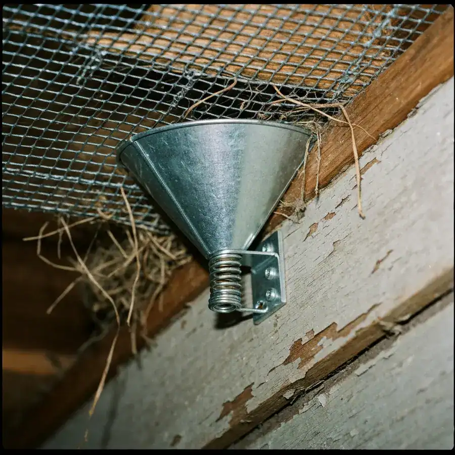 Metal one-way exclusion door mounted over a squirrel entry hole on a weathered wooden roof eave.